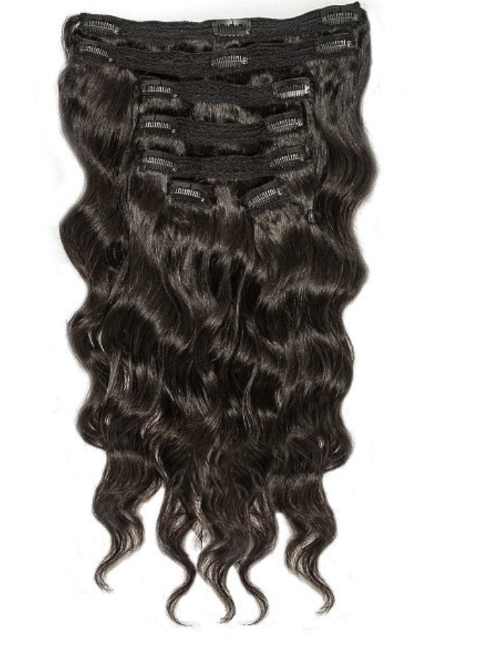 Indian Wavy Clip-ins